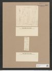 Amphora subtilis Grun. (de-Toni-Nr.: Genus 36, Species 1723) Zeichnungen Sammlung Grunow Nr. 3247 (NHMW-BOT-W0370718)